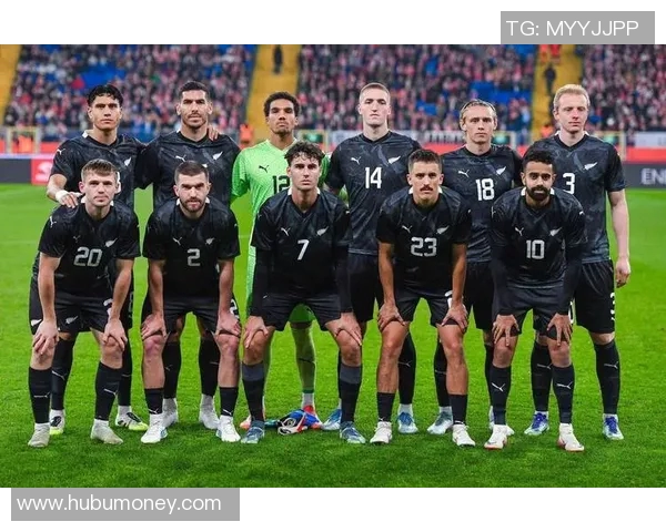 波黑足球明星的辉煌历程与对国家的影响力探讨