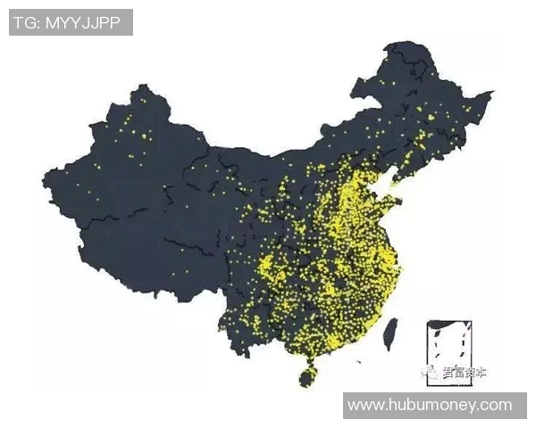 深圳网球队状态分析与表现评估：数据透视与趋势解读